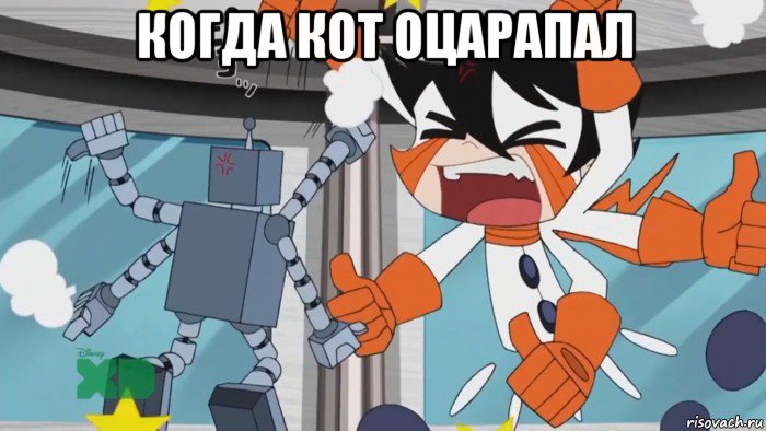 когда кот оцарапал 