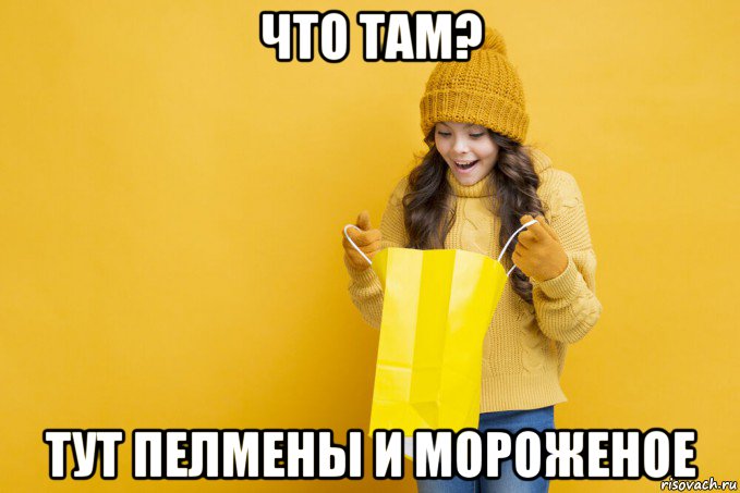что там? тут пелмены и мороженое, Мем Что я купила