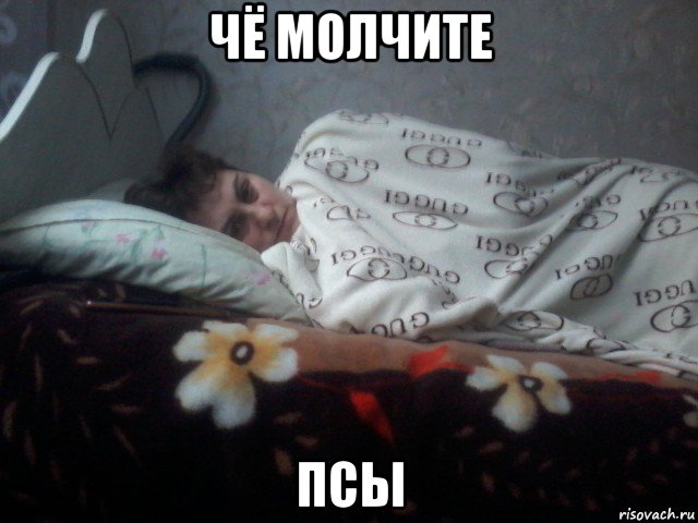 чё молчите псы, Мем Чё спишь