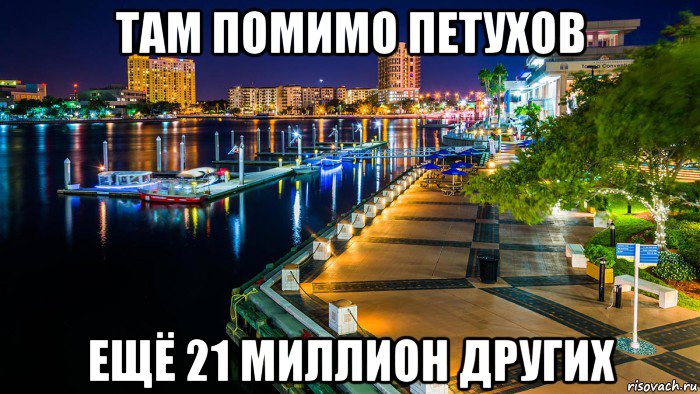 там помимо петухов ещё 21 миллион других, Мем City of Tampa Florida
