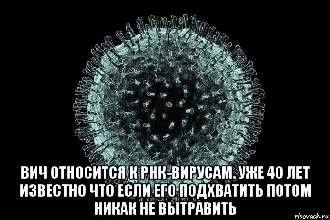  вич относится к рнк-вирусам. уже 40 лет известно что если его подхватить потом никак не вытравить, Мем Coronaviridae