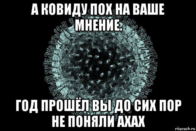 а ковиду пох на ваше мнение. год прошёл вы до сих пор не поняли ахах, Мем Coronaviridae