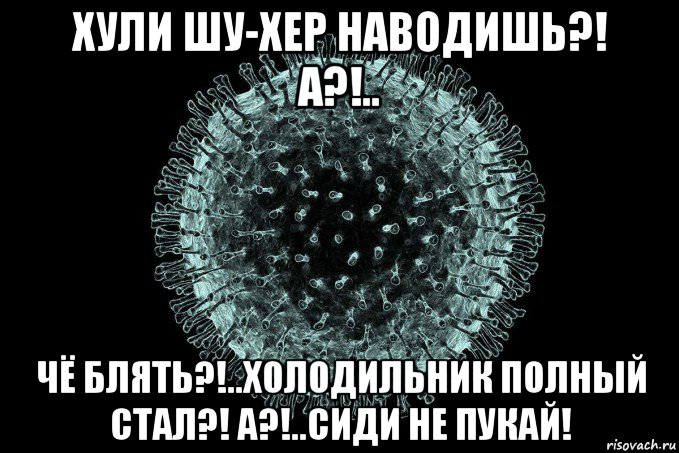 хули шу-хер наводишь?! а?!.. чё блять?!..холодильник полный стал?! а?!..сиди не пукай!