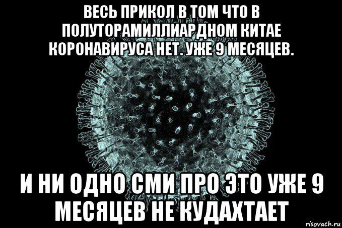 весь прикол в том что в полуторамиллиардном китае коронавируса нет. уже 9 месяцев. и ни одно сми про это уже 9 месяцев не кудахтает