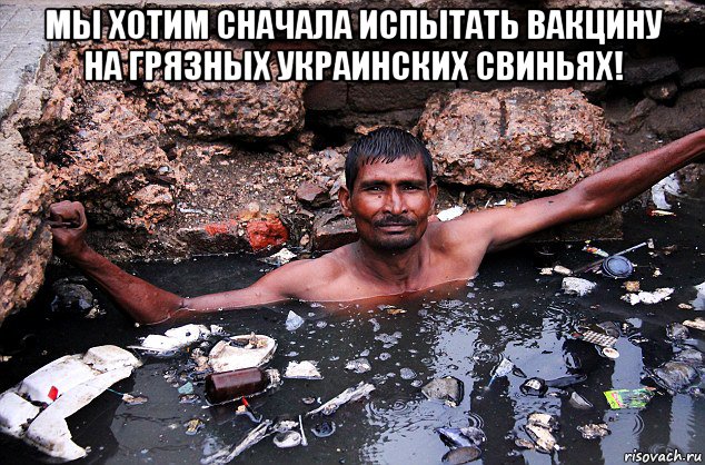мы хотим сначала испытать вакцину на грязных украинских свиньях! , Мем Цуа
