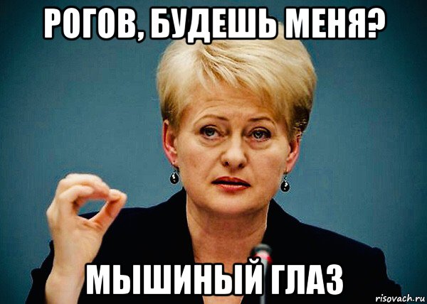 рогов, будешь меня? мышиный глаз, Мем Даля Грибаускайте