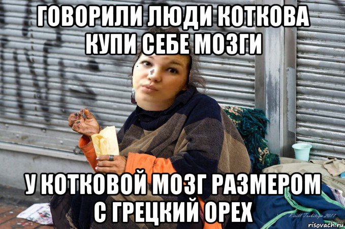 говорили люди коткова купи себе мозги у котковой мозг размером с грецкий орех