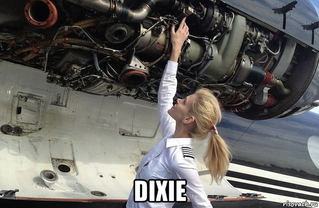  dixie, Мем Dixie Girl