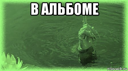 в альбоме 
