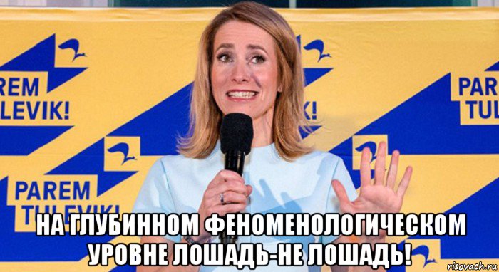  на глубинном феноменологическом уровне лошадь-не лошадь!, Мем Эстония