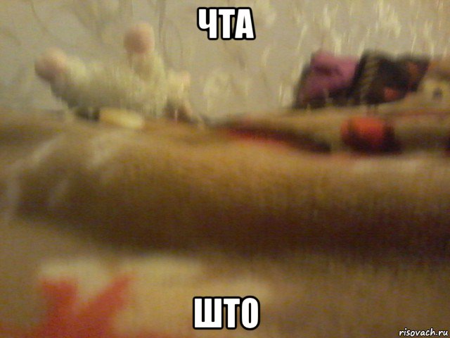 чта што, Мем Фото овца