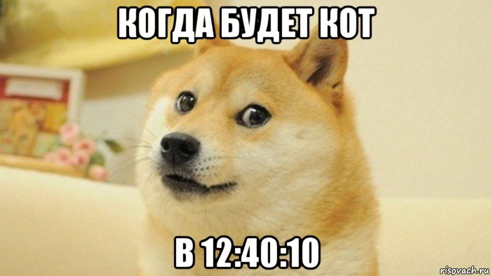 когда будет кот в 12:40:10, Мем Ganz