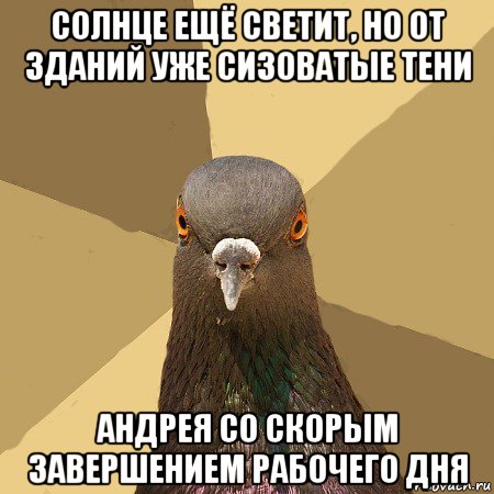 солнце ещё светит, но от зданий уже сизоватые тени андрея со скорым завершением рабочего дня