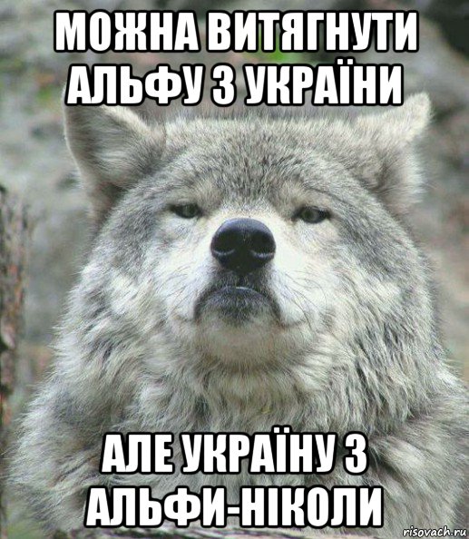можна витягнути альфу з україни але україну з альфи-ніколи, Мем    Гордый волк
