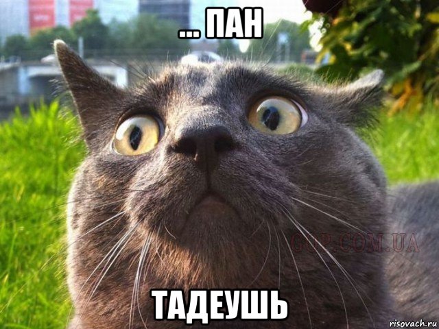 ... пан тадеушь