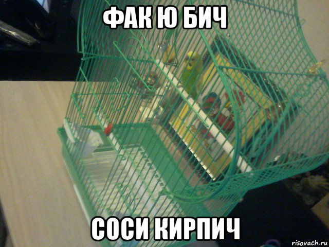 фак ю бич соси кирпич, Мем Гриша в клетке свалил на доску