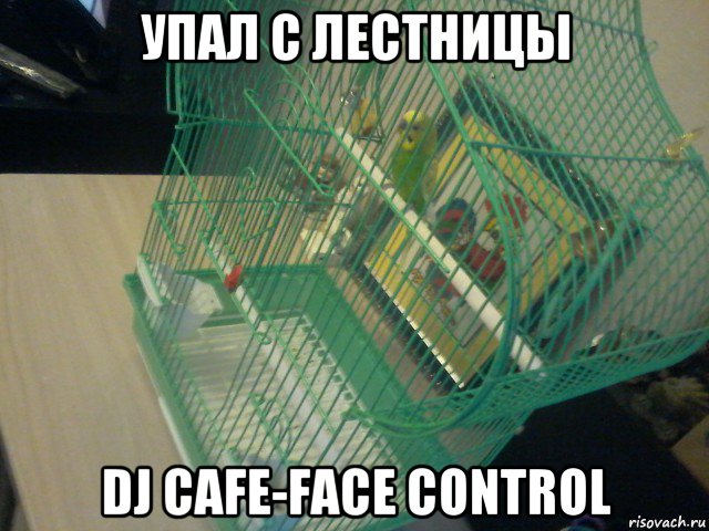 упал с лестницы dj cafe-face control, Мем Гриша в клетке свалил на доску