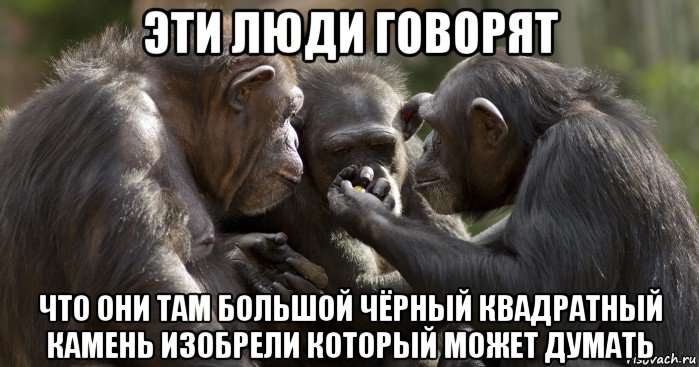 эти люди говорят что они там большой чёрный квадратный камень изобрели который может думать, Мем Группа обезьян