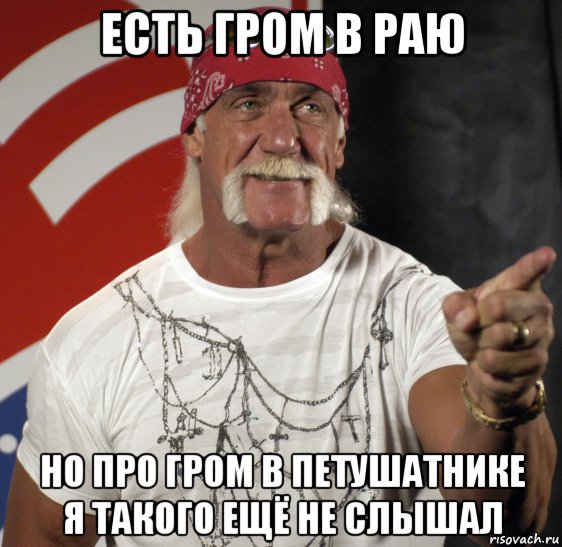 есть гром в раю но про гром в петушатнике я такого ещё не слышал, Мем Халк Хоган