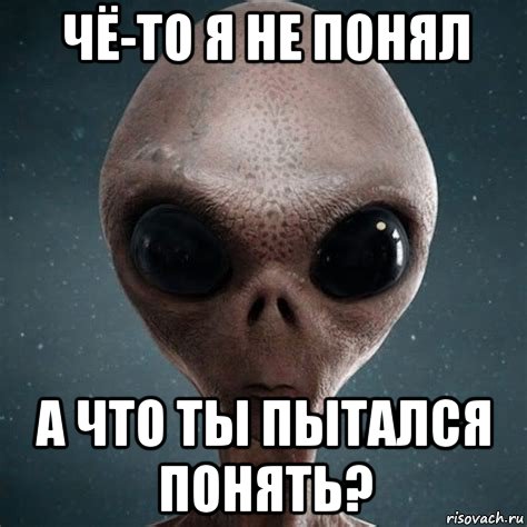чё-то я не понял а что ты пытался понять?, Мем Инопланетянин