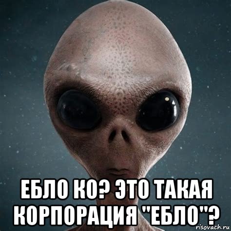  ебло ко? это такая корпорация "ебло"?