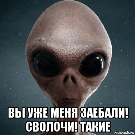  вы уже меня заебали! сволочи! такие