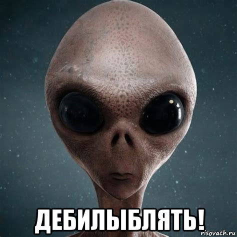  дебилыблять!
