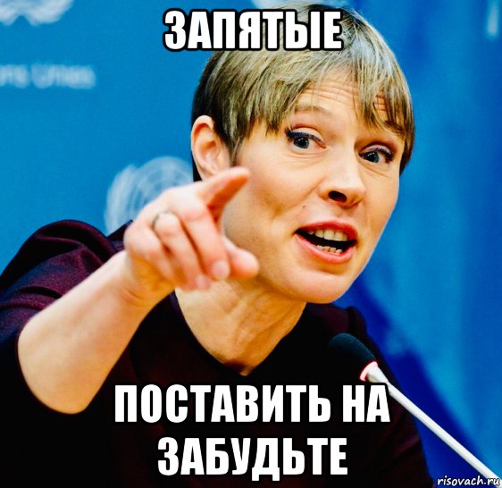 запятые поставить на забудьте, Мем Керсти Кальюлайд