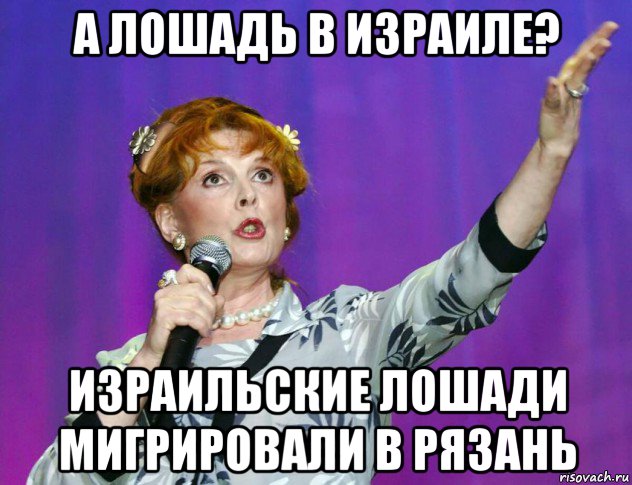 а лошадь в израиле? израильские лошади мигрировали в рязань, Мем Клара Новикова
