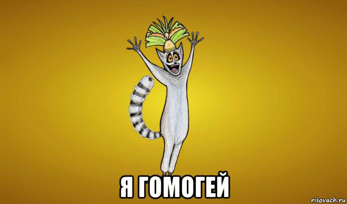  я гомогей, Мем Кошачий лемур