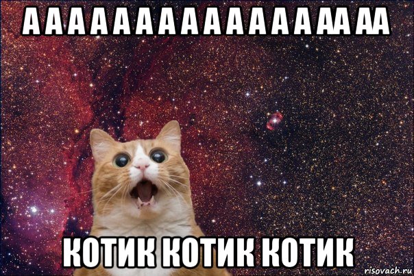 а а а а а а а а а а а а а аа аа котик котик котик