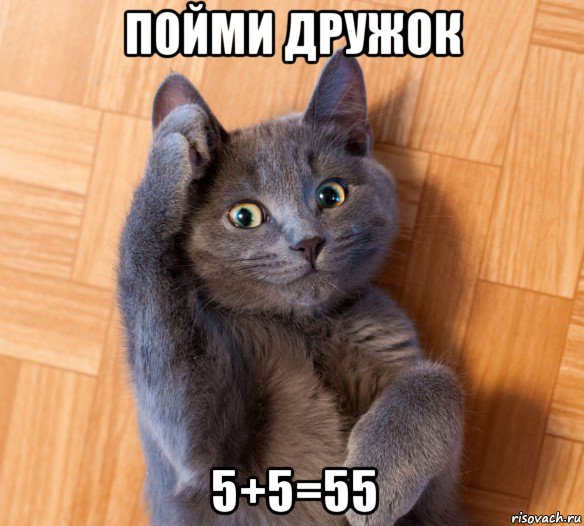 пойми дружок 5+5=55