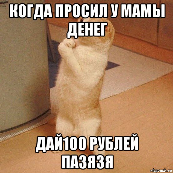 когда просил у мамы денег дай100 рублей пазязя, Мем  котэ молится