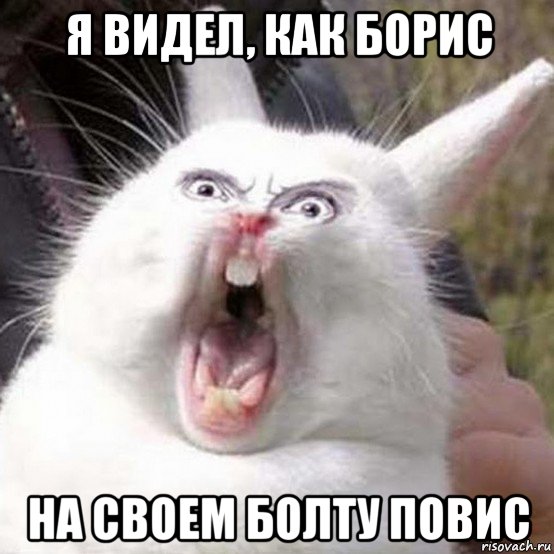 я видел, как борис на своем болту повис