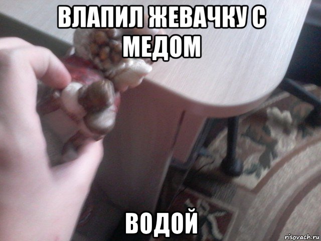 влапил жевачку с медом водой, Мем Ледзянка ебнул в лицо