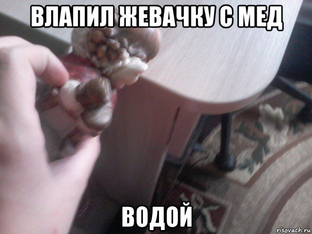 влапил жевачку с мед водой, Мем Ледзянка ебнул в лицо