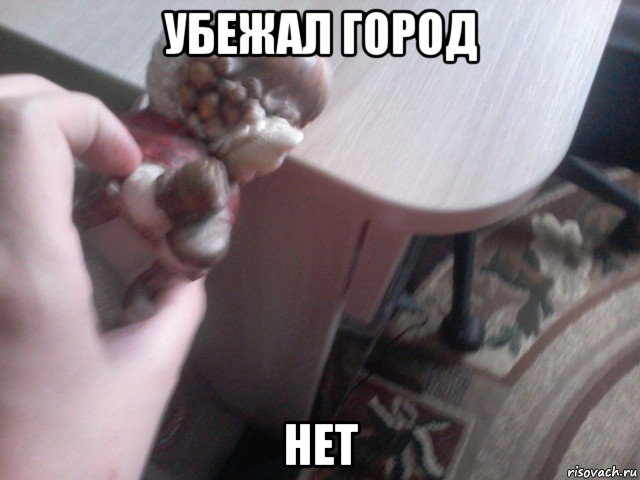 убежал город нет, Мем Ледзянка ебнул в лицо