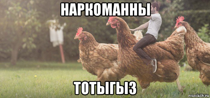 наркоманны тотыгыз