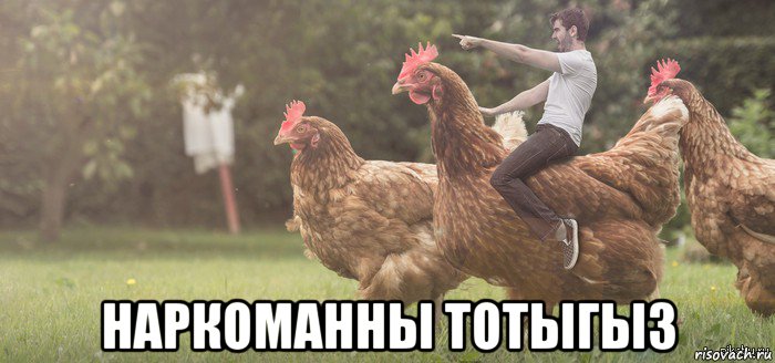  наркоманны тотыгыз
