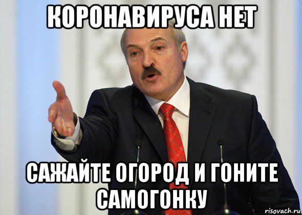 коронавируса нет сажайте огород и гоните самогонку, Мем лукашенко