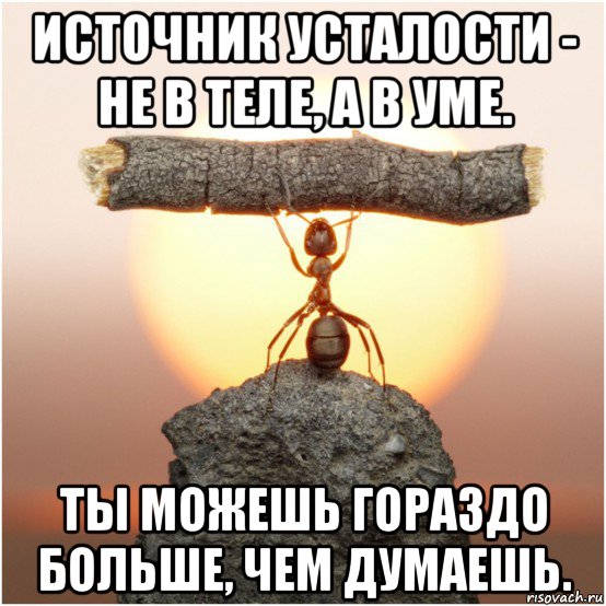 источник усталости - не в теле, а в уме. ты можешь гораздо больше, чем думаешь., Мем Lutvf