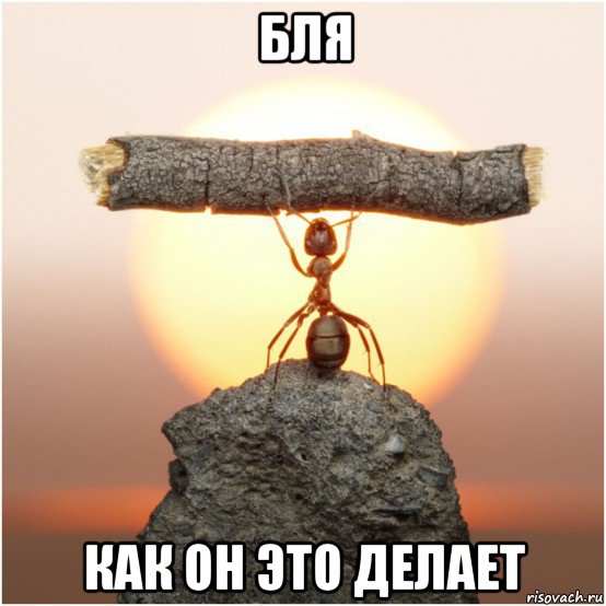 бля как он это делает, Мем Lutvf