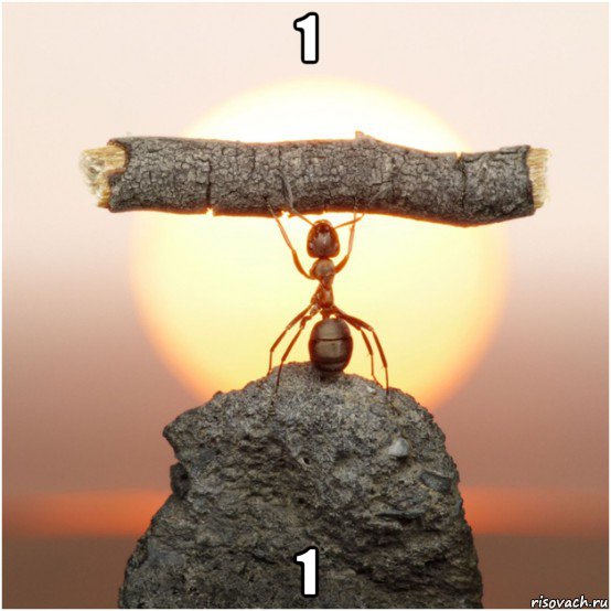 1 1, Мем Lutvf
