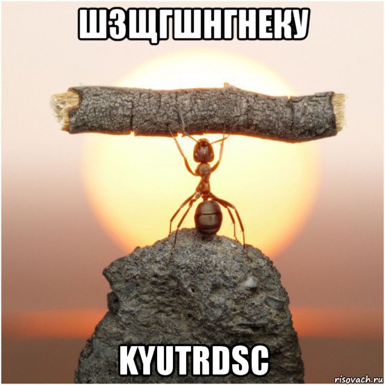 шзщгшнгнеку kyutrdsc, Мем Lutvf