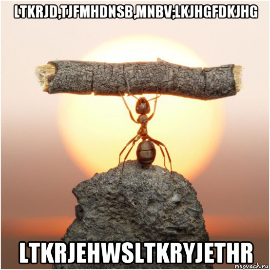 ltkrjd,tjfmhdnsb,mnbv;lkjhgfdkjhg ltkrjehwsltkryjethr, Мем Lutvf