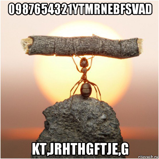 0987654321ytmrnebfsvad kt,jrhthgftje,g, Мем Lutvf