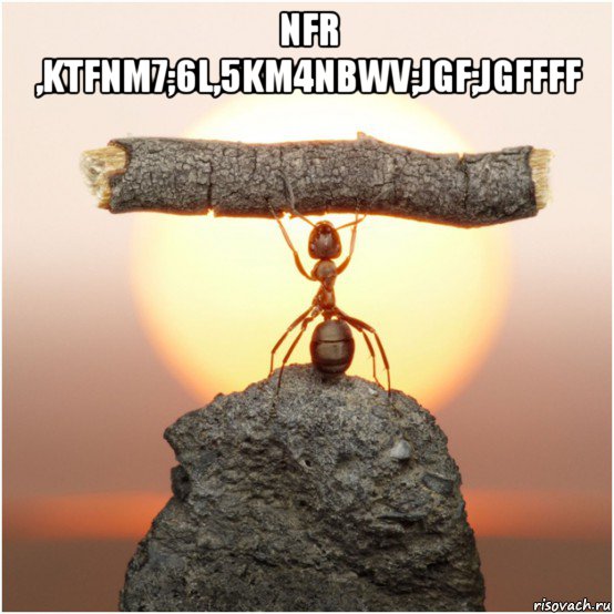 nfr ,ktfnm7;6l,5km4nbwv;jgf;jgffff , Мем Lutvf