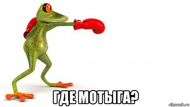  где мотыга?, Мем Лягушонок Фроггер