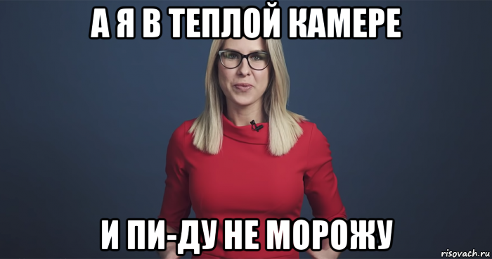 а я в теплой камере и пи-ду не морожу, Мем Любовь Соболь