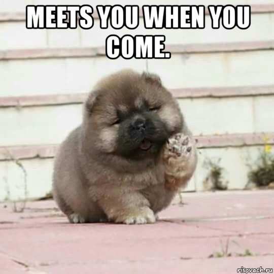 meets you when you come. , Мем Meets You When You Come